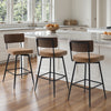 Corvina Bar Stool in Brown Afus Leather, Counter Height