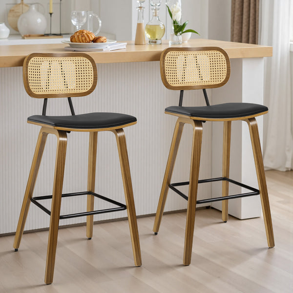 Dorsa Counter Stool in Black Hron Leather