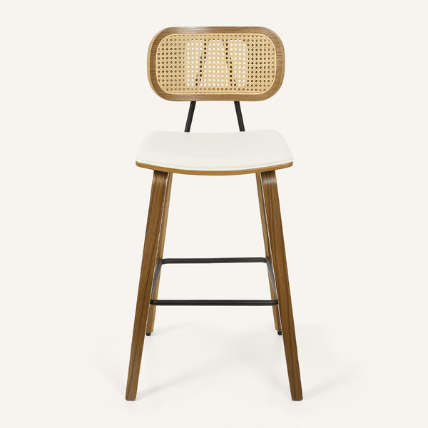 Dorsa Counter Stool in Cream Hron Leather
