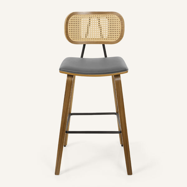 Dorsa Counter Stool in Gray Hron Leather