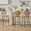 Dorsa Counter Stool in Mud Hron Leather