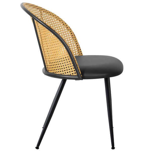 Giallo Dining Chair in Black Ribol Leather