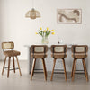 Moravia Bar Stool in Brown Mara Leather, Counter Height, with Rattan Backrest