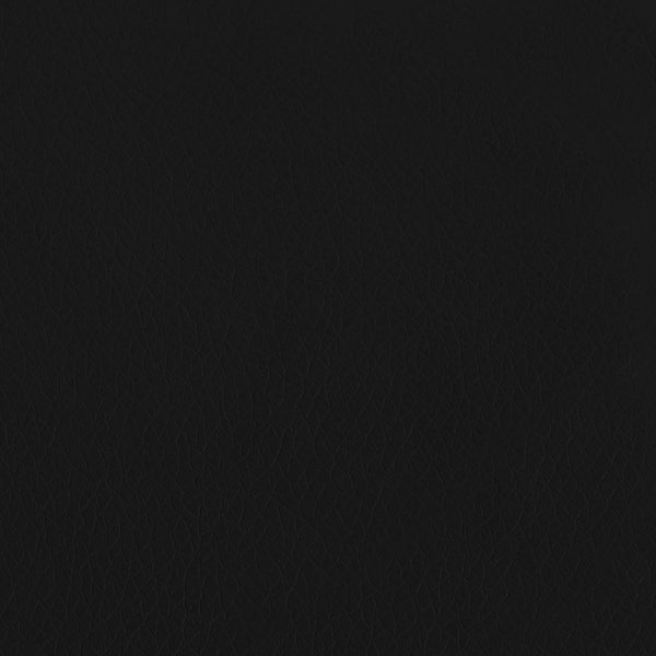 Ribol Leather in Black