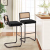 Rosada bar stool, Black Azal Velvet-Black Finish/Bar Height