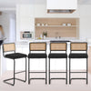 Rosada bar stool, Black Azal Velvet-Black Finish/Bar Height