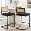 Rosada bar stool, Black Azal Velvet-Black Finish/Counter Height