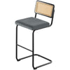 Rosada bar stool, Gray Azal Velvet-Black Finish/Bar Height