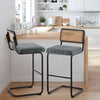 Rosada bar stool, Gray Azal Velvet-Black Finish/Bar Height