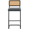 Rosada bar stool, Gray Azal Velvet-Black Finish/Bar Height