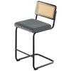 Rosada bar stool, Gray Azal Velvet-Black Finish/Counter Height