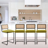 Rosada bar stool, Olive Azal Velvet-Black Finish/Counter Height