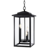 Trilla outdoor pendant light, Black