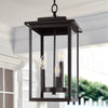 Trilla outdoor pendant light, Bronze
