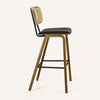 Dorsa Counter Stool in Black Hron Leather