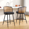 Lagrein bar stool, Black Jaen Leather/Counter Height
