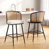 Lagrein bar stool, White Hans Leather/Counter Height