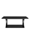 Paektu Coffee Table in Black Finish