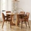 Zelen Dining Chair in Brown Afus Leather