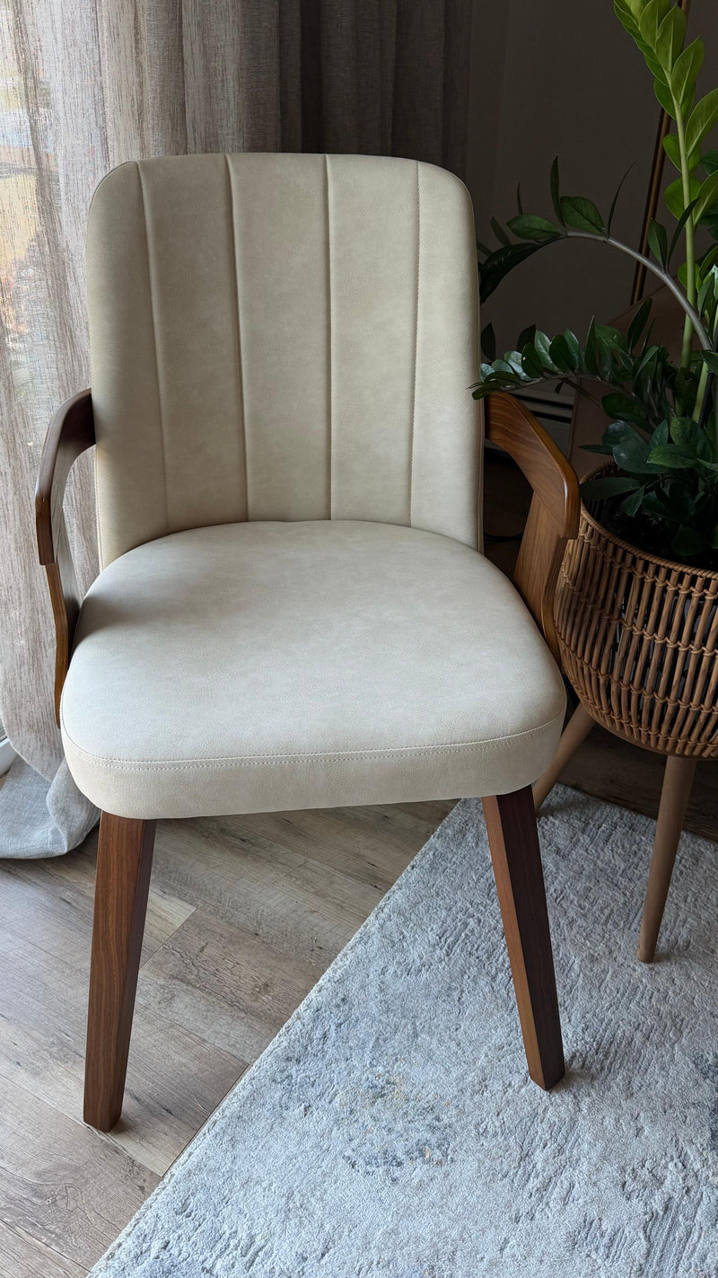 Zelen Dining Chair Ugc Image 5